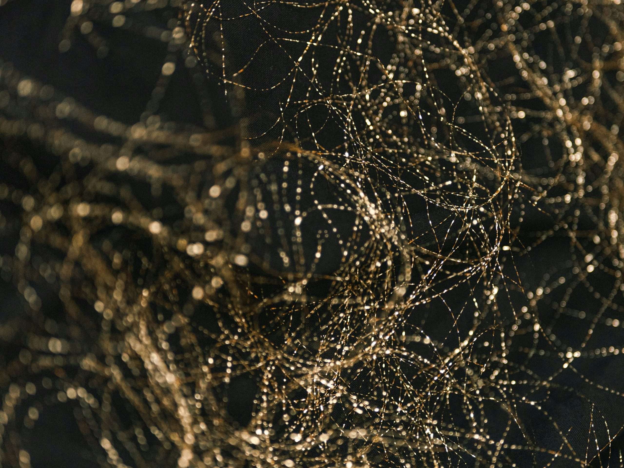 Nervous System Regulation: Why It Matters