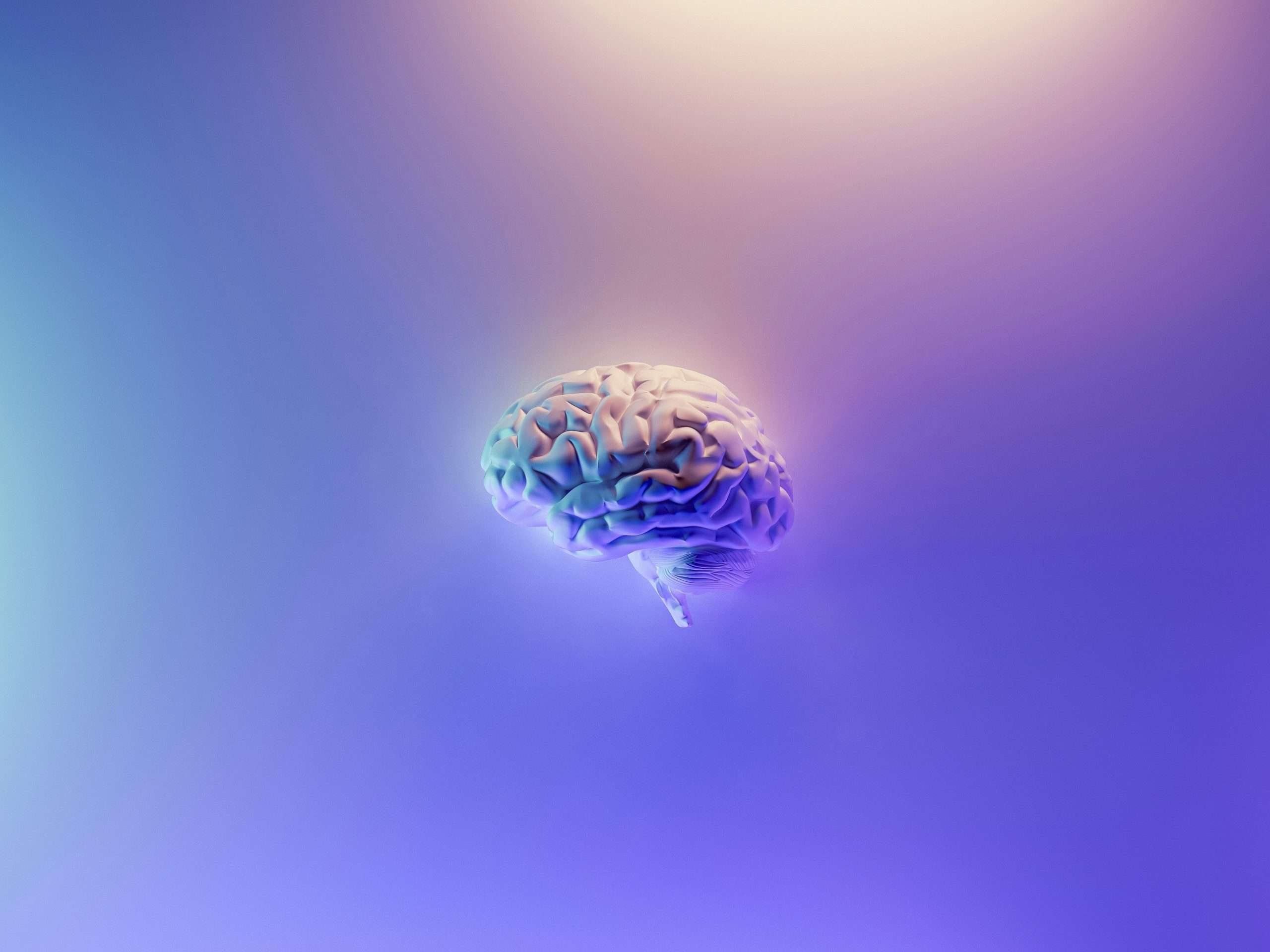 Neuroplasticity: How the Brain Learns, Adapts, and Rewires