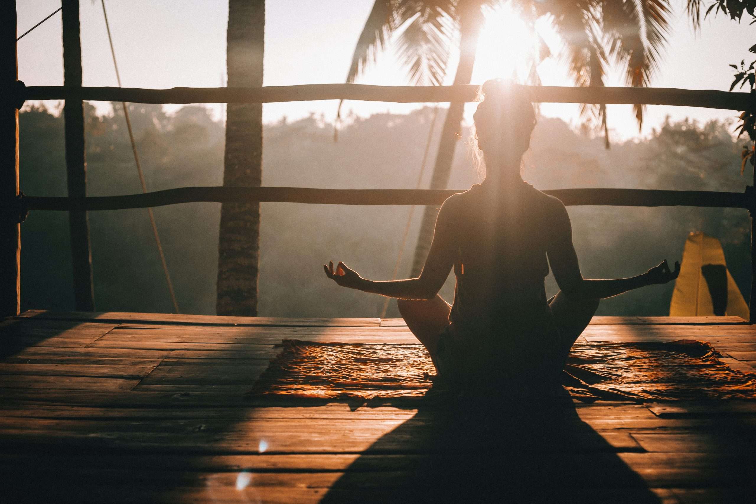 Understanding the Vagus Nerve
