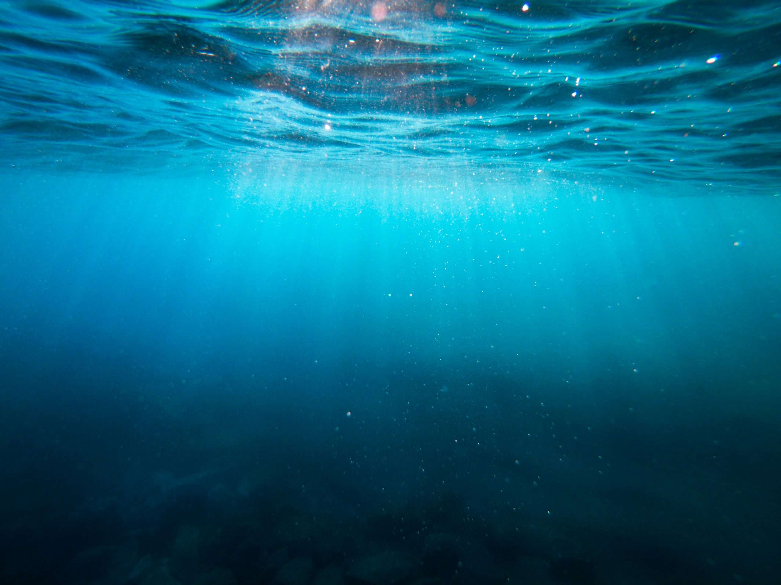 What Is CO₂ Tolerance and Why It Matters for Your Mental Health